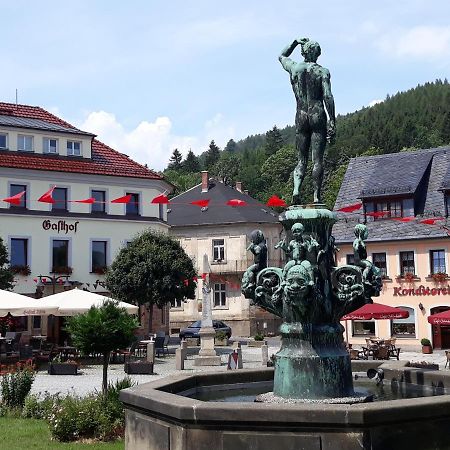Gasthof Hillig Bad Gottleuba Zewnętrze zdjęcie